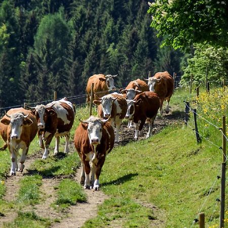 로베르크 Urlaub Auf Dem Haberlhof 빌라 외부 사진
