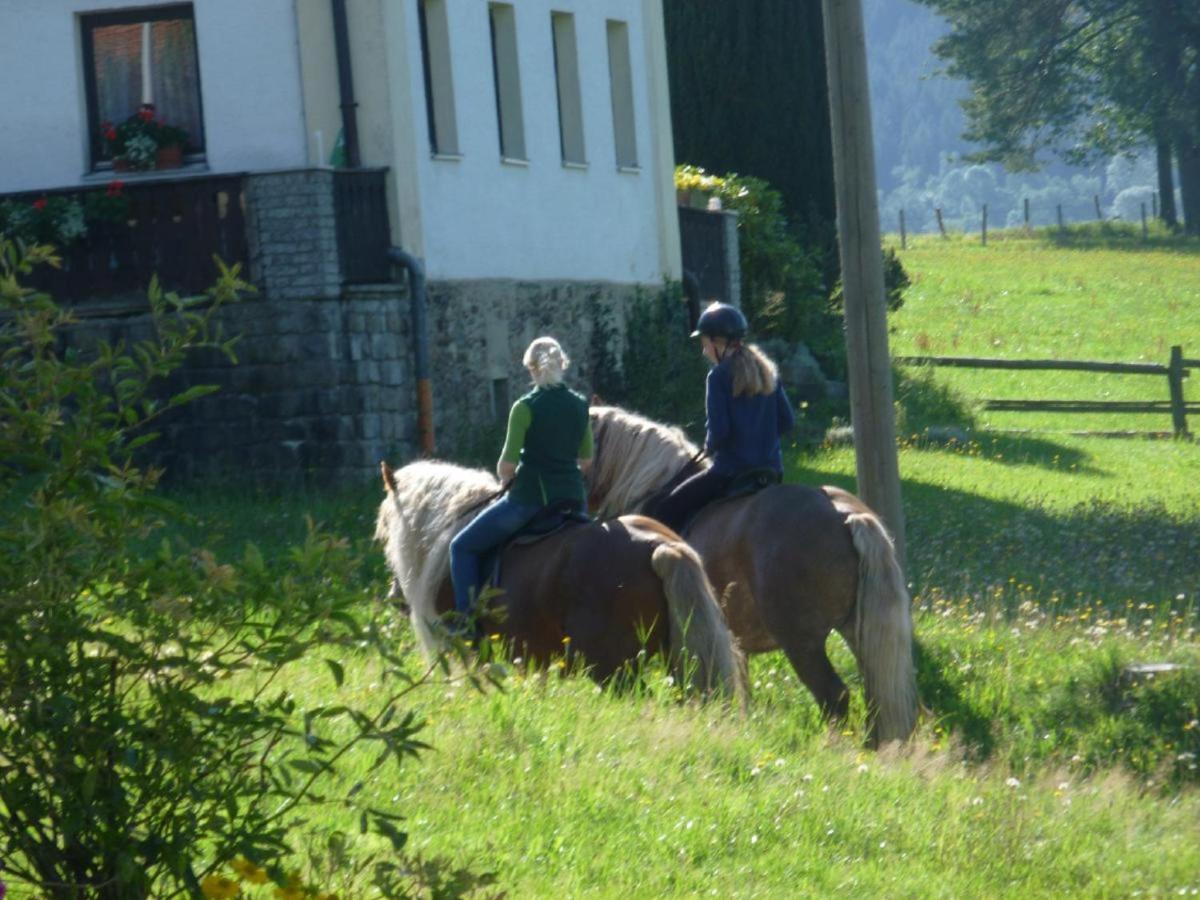 로베르크 Urlaub Auf Dem Haberlhof 빌라 외부 사진