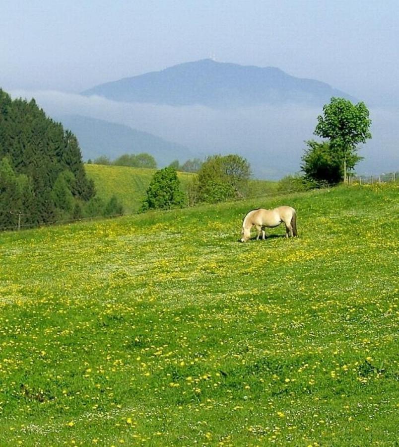 로베르크 Urlaub Auf Dem Haberlhof 빌라 외부 사진